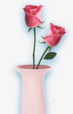 玫瑰花浪漫粉色素材