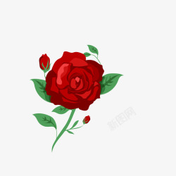 手绘红色一枝玫瑰素材