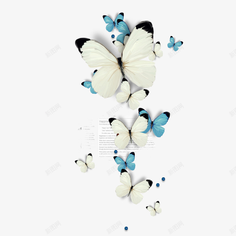 蝴蝶白色蓝色png免抠素材_新图网 https://ixintu.com png素材 白色 蓝色 蝴蝶