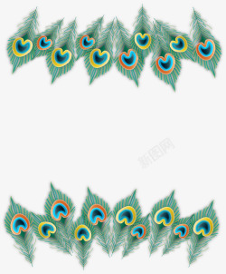 孔雀羽毛绿色孔雀羽毛边框矢量图高清图片