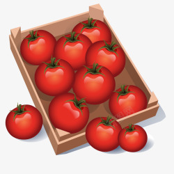 两角的西红柿菜市场精美红色西红柿矢量图高清图片