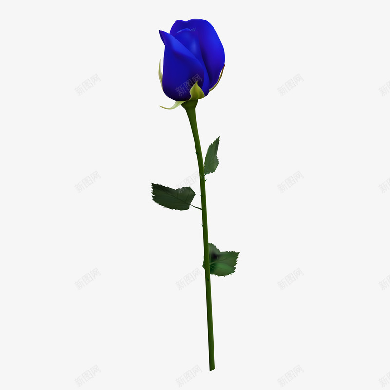 一支蓝色玫瑰png免抠素材_新图网 https://ixintu.com 一支 一支玫瑰 玫瑰 花 蓝色 蓝色玫瑰