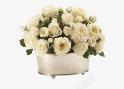 白色艺术玫瑰花束素材