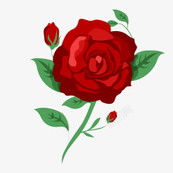 红色玫瑰花植物素材