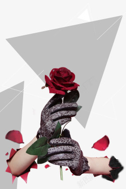 黑色的手套手中的玫瑰花高清图片