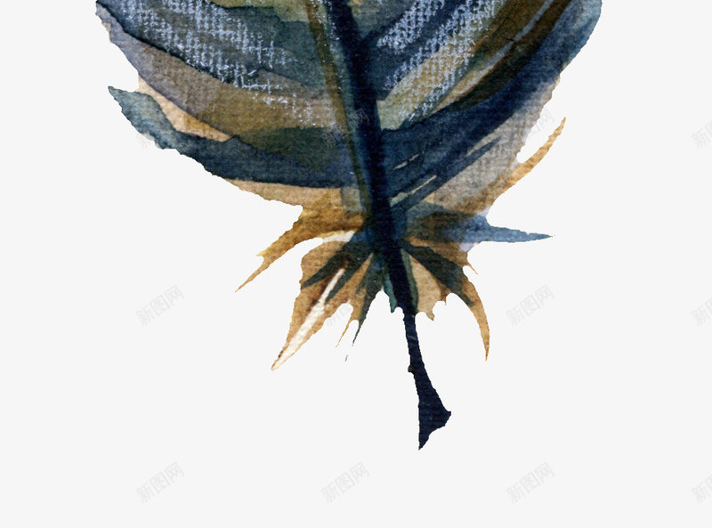 深蓝色羽毛树叶png免抠素材_新图网 https://ixintu.com 创意树叶 彩绘羽毛 树叶 植物 羽毛纹理