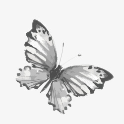 黑白手绘装饰蝴蝶矢量图素材