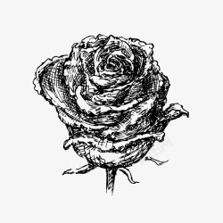 花朵卡通手绘玫瑰花矢量图素材