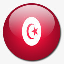 突尼斯国旗国圆形世界旗图标图标