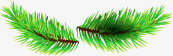羽毛般的绿叶双11素材