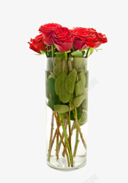 玻璃花瓶红玫瑰花束高清图片