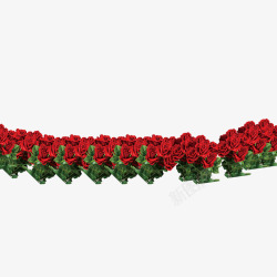 鐜夊叞鑺玫瑰花丛高清图片