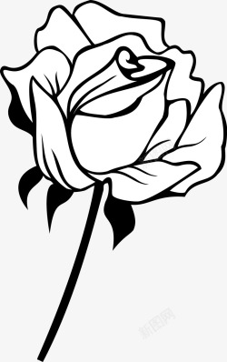 玫瑰花绽放绽放的玫瑰花图标高清图片