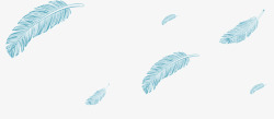 淡雅羽毛漂浮的羽毛高清图片