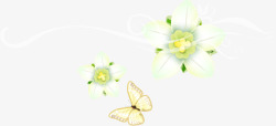 花朵蝴蝶白色唯美蝴蝶花朵插画高清图片