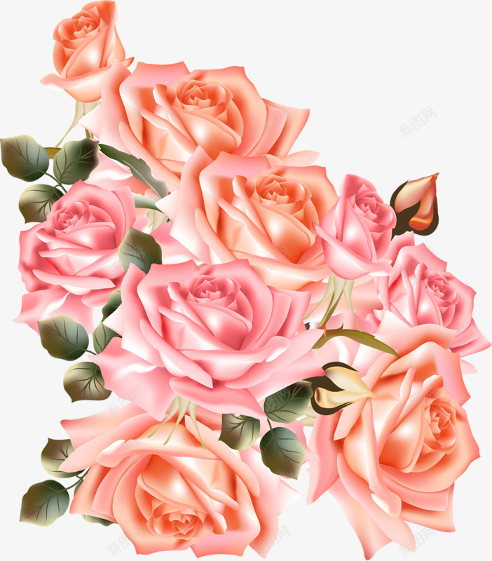 盛开的玫瑰花png免抠素材_新图网 https://ixintu.com 粉红色玫瑰 花丛 花朵