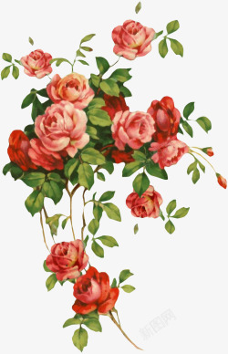 手绘卡通鲜花素材