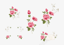 套组玫瑰花装饰花纹素材