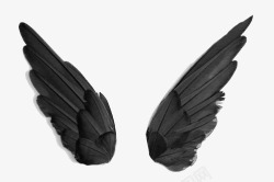 全黑天使翅膀高清图片