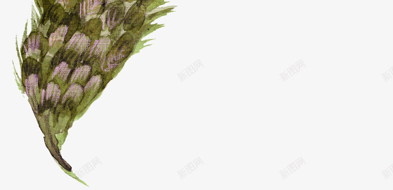绿紫色羽毛树叶png免抠素材_新图网 https://ixintu.com 创意树叶 彩绘羽毛 树叶 植物 羽毛纹理