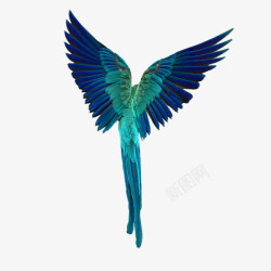 一个人带着蓝色的翅膀素材