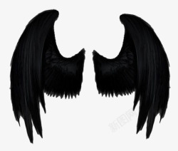 后背翅膀黑色的翅膀片高清图片