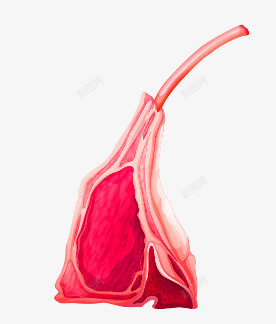 卡通简约美食甜点装饰广告png免抠素材_新图网 https://ixintu.com 卡通美食 封面设计 广告设计 彩色卡通小蛋糕 片状面包 美食 面包甜点卡通