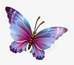 紫色蓝色翅膀蝴蝶素材