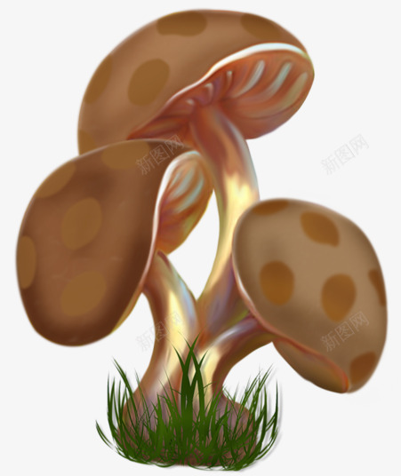 手绘金色圆点蘑菇png免抠素材_新图网 https://ixintu.com 卡通蘑菇 手绘蘑菇 蘑菇免抠 蘑菇免抠图片 金色蘑菇