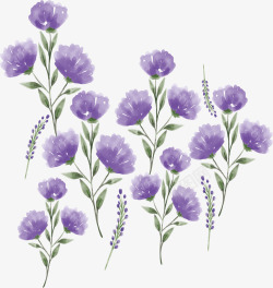 浪漫小紫花手绘水彩紫色花朵高清图片