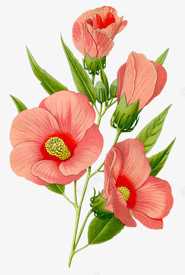 红色创意复古花卉植物合成png免抠素材_新图网 https://ixintu.com 创意 合成 复古 植物 红色 花卉