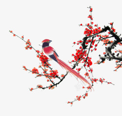 梅花树上的小鸟素材