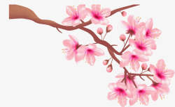 桃花枝浪漫精美粉色桃花矢量图高清图片