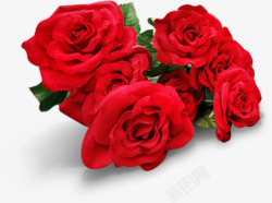 红色中式玫瑰花朵素材