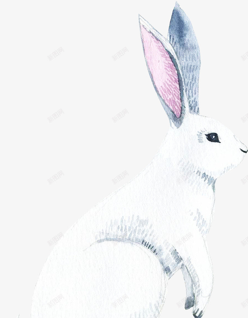 白色的手绘小兔子png免抠素材_新图网 https://ixintu.com 免抠图 兔子 动物 手绘兔子 效果图 装饰图 装饰画