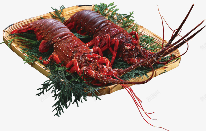 龙虾png免抠素材_新图网 https://ixintu.com 中式料理 水产 红色 菜品
