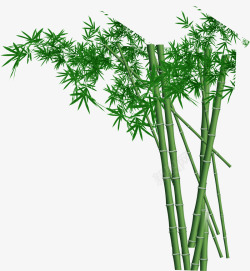 竹子梦幻创意植物素材