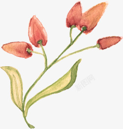 粉红色手绘的植物花朵素材
