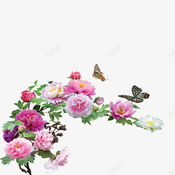 花儿与蝴蝶psd免抠素材_新图网 https://ixintu.com 粉色 红色 绿叶 绿色 花朵 蝴蝶