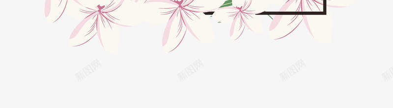 花朵植物线条边框png免抠素材_新图网 https://ixintu.com 免抠图 效果图 植物 线条 花朵 装饰图 装饰画