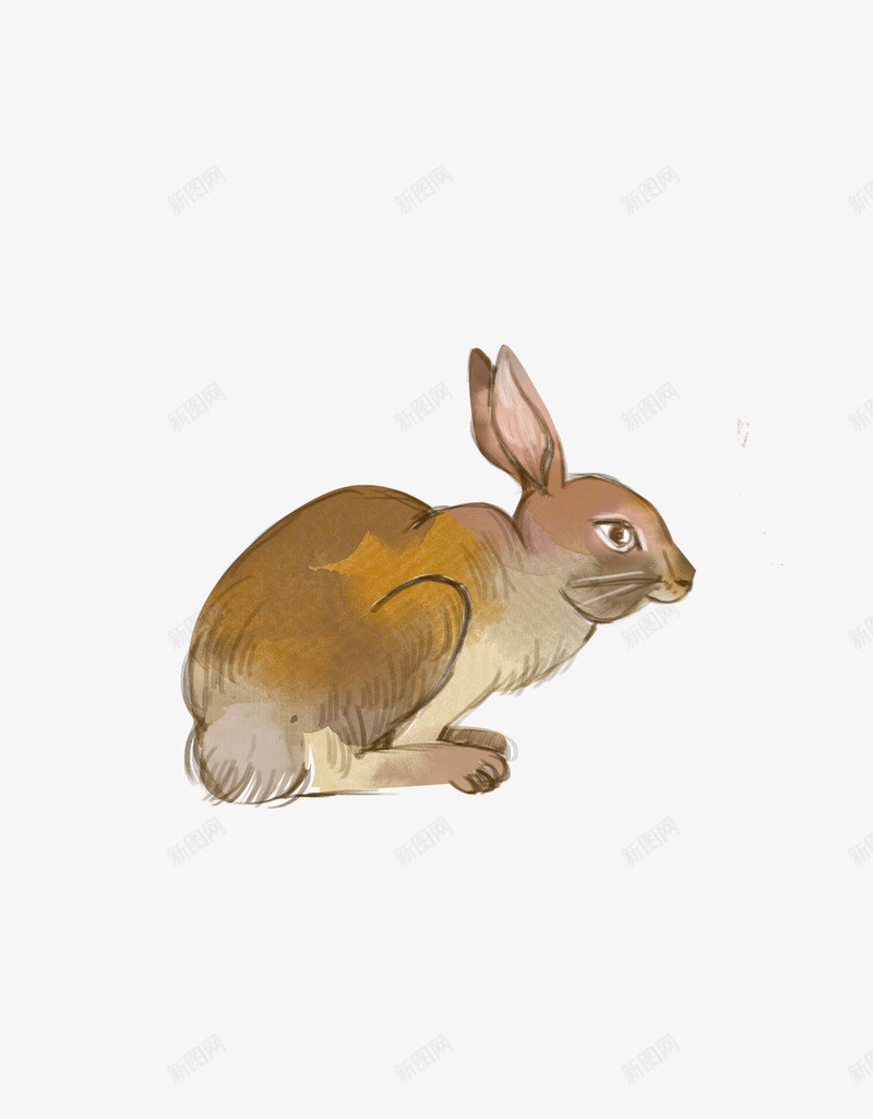 卡通手绘的小兔子png免抠素材_新图网 https://ixintu.com 免抠图 动物 卡通兔子 小兔子 效果图 装饰图 装饰画