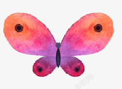 卡通手绘文艺简约蝴蝶动物插画设素材