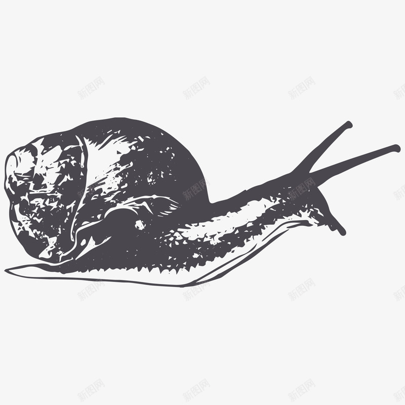 黑色手绘蜗牛png免抠素材_新图网 https://ixintu.com 卡通蜗牛 手绘蜗牛 效果图 爬行动物 蜗牛 黑色蜗牛