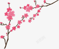 日本美丽粉红樱花矢量图素材
