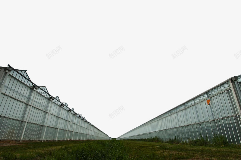 玻璃温室大棚png免抠素材_新图网 https://ixintu.com 大棚 建筑 温室 现代建筑 玻璃 玻璃墙