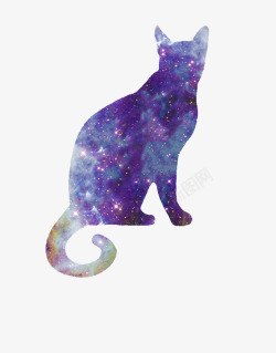 星空猫咪猫高清图片