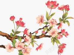 卡通树枝花朵装饰素材