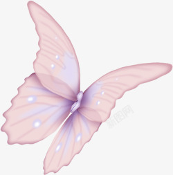 一只粉色蝴蝶素材