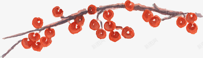 手绘树枝上的红果子png免抠素材_新图网 https://ixintu.com 免抠图 手绘植物 效果图 树枝 红果实 装饰图 装饰画