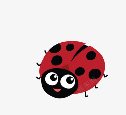 红色昆虫可爱的大眼睛红色甲壳虫高清图片